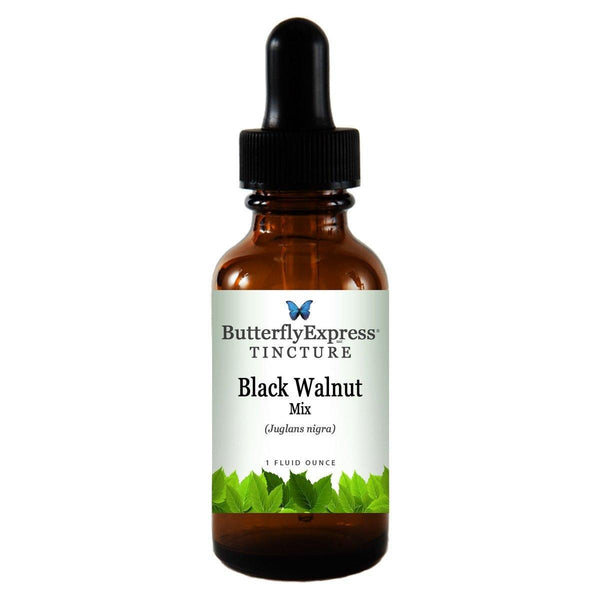 Black Walnut Mix Tincture  <h6>Juglans nigra</h6>