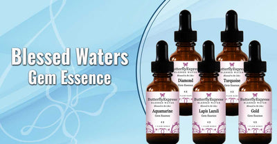 Butterfly Express Quality Essential Oils
