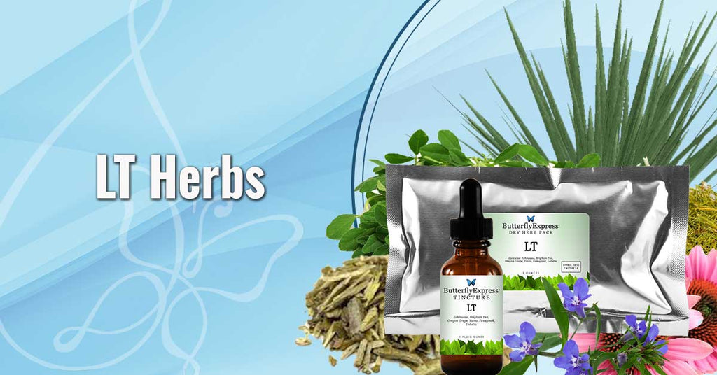 LT Herbs – Butterfly Express Quality Essential Oils