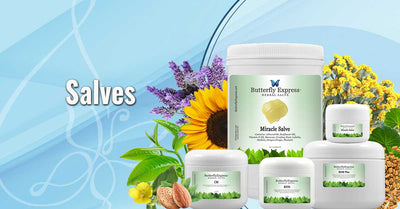 Butterfly Express Quality Essential Oils
