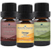 3 Oil Kit - Clove, Orange, Pine