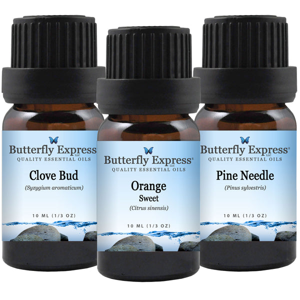 3 Oil Kit - Clove, Orange, Pine Wholesale