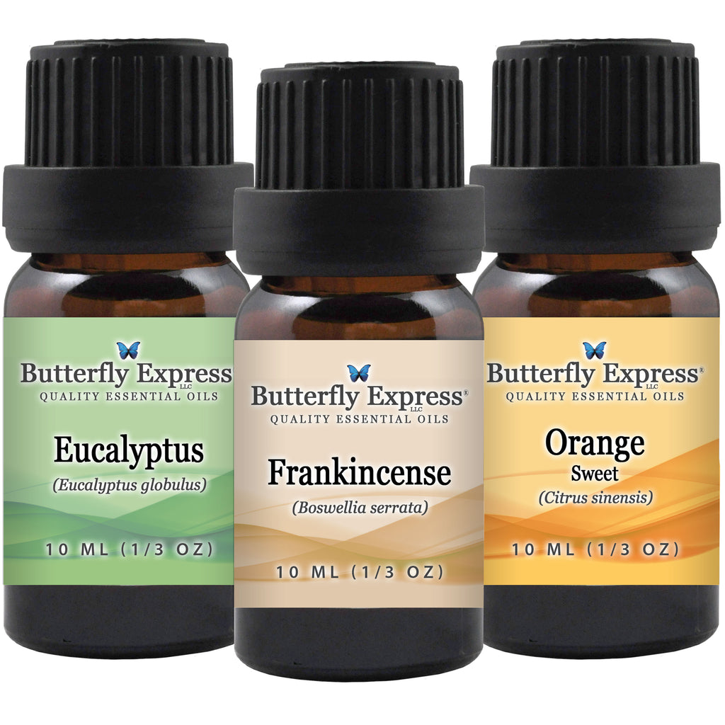 3 Oil Kit - Eucalyptus, Frankincense, Orange