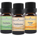 3 Oil Kit - Eucalyptus, Frankincense, Orange
