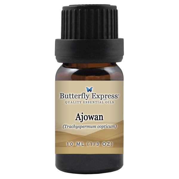 Ajowan Essential Oil  <h6>Trachyspermum copticum</h6>