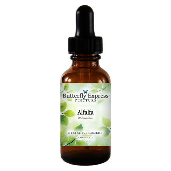 Alfalfa Tincture Wholesale  <h6>Medicago sativa</h6>