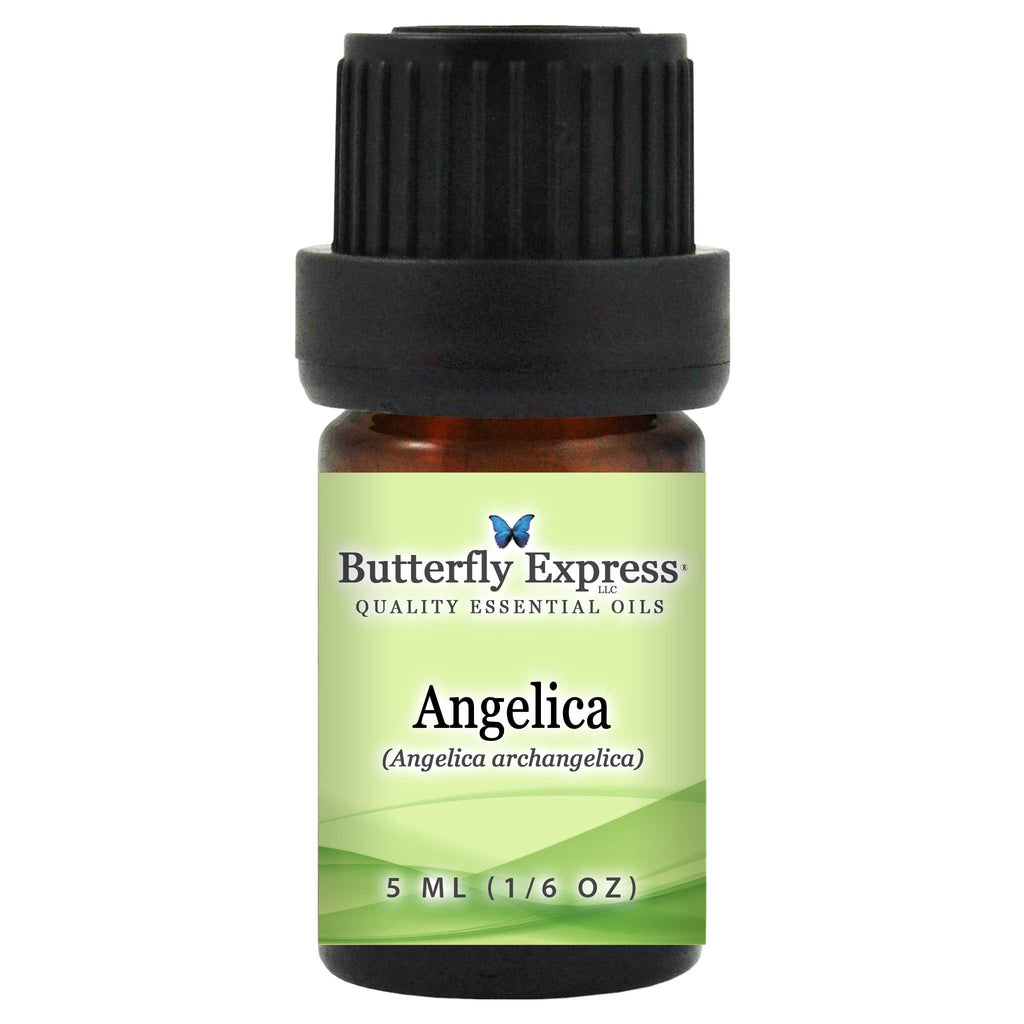 Angelica Essential Oil  <h6>Angelica archangelica</h6>