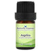 Angelica Essential Oil  <h6>Angelica archangelica</h6>