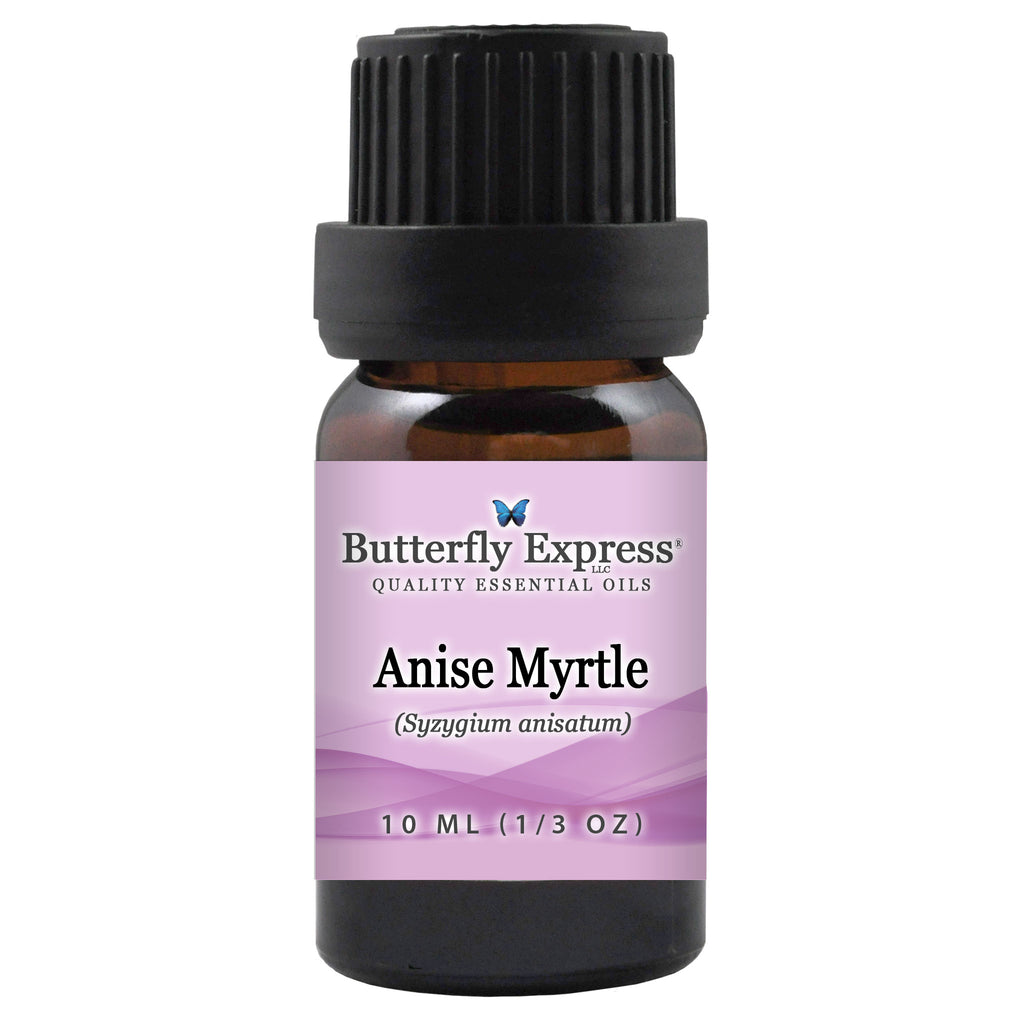 Anise Myrtle Essential Oil  <h6>Syzygium anisatum</h6>