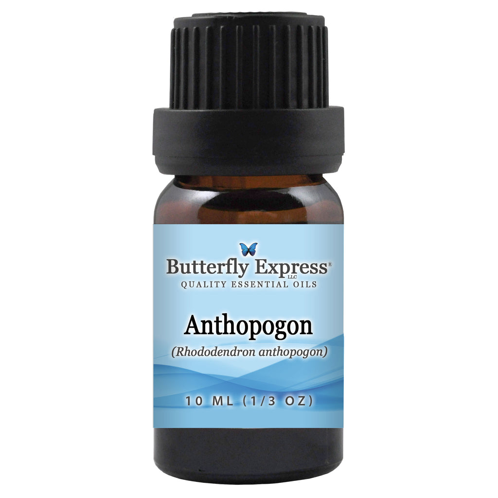 Anthopogon Essential Oil  <h6>Rhododendron anthopogon</h6>