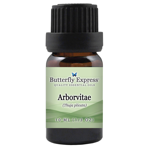 Arborvitae Essential Oil  <h6>Thuja plicata</h6>