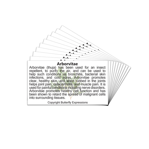 Arborvitae Essential Oil Product Cards Wholesale