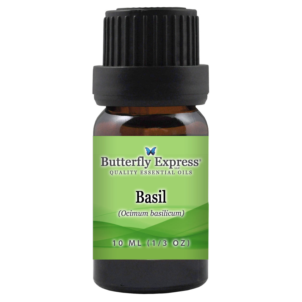 Basil Essential Oil  <h6>Ocimum basilicum</h6>