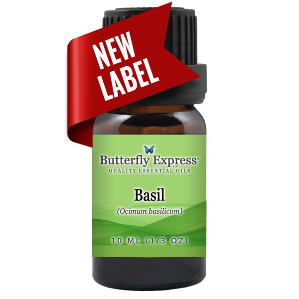 Basil Essential Oil Wholesale  <h6>Ocimum basilicum</h6>