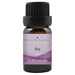 Bay Essential Oil  <h6>Pimenta racemosa</h6>