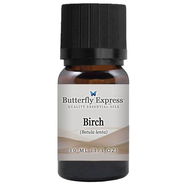 Birch Essential Oil Wholesale  <h6>Betula lenta</h6>