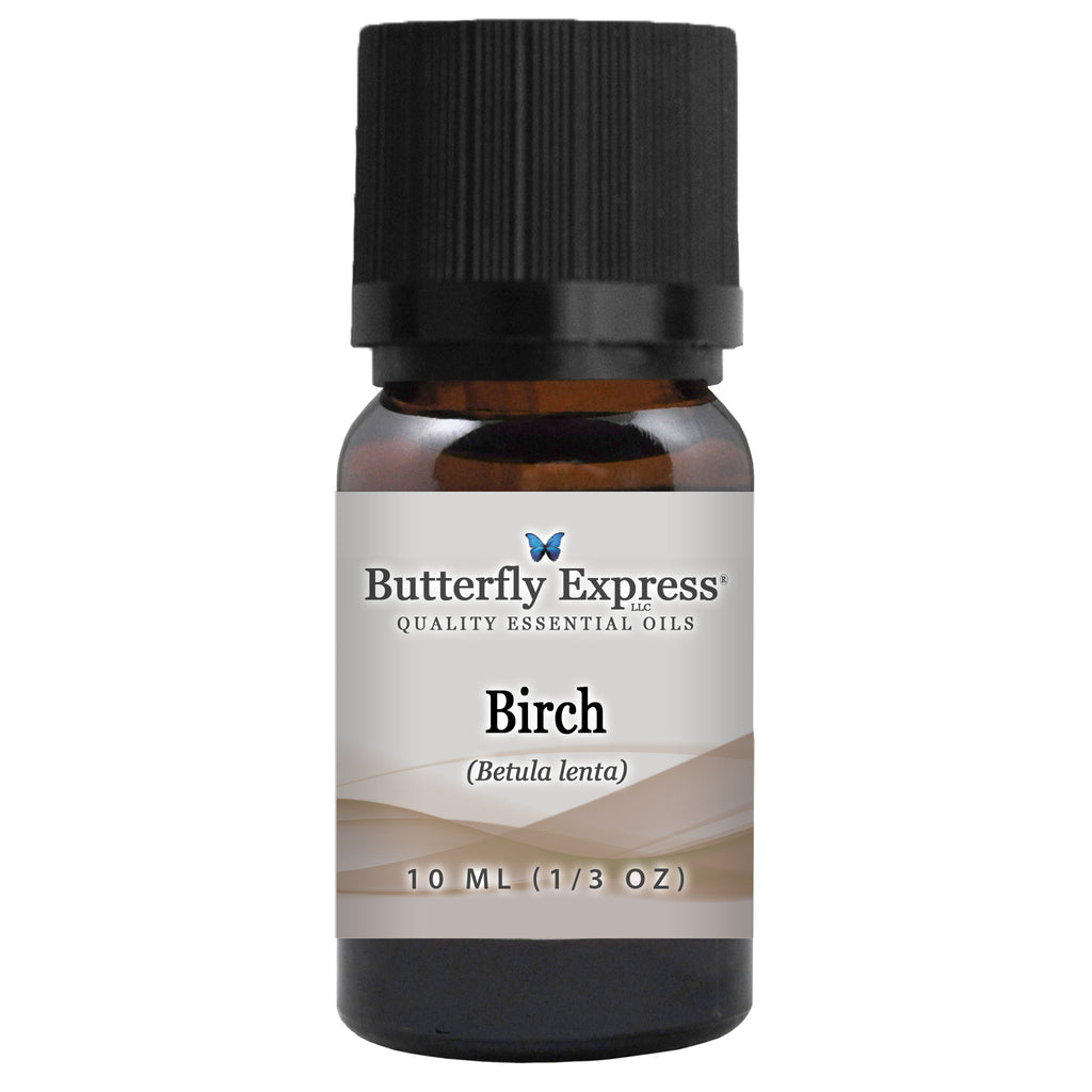Birch Essential Oil  <h6>Betula lenta</h6>