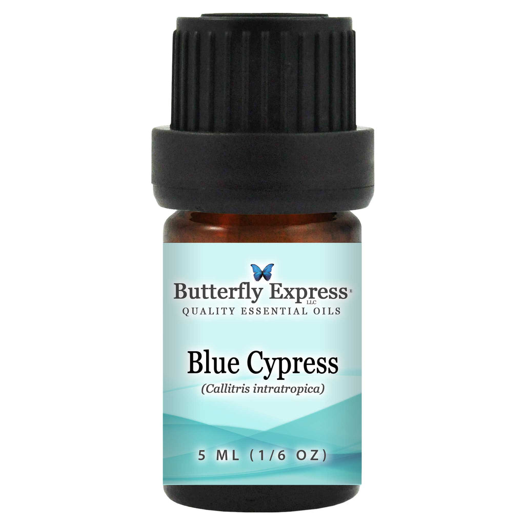 Blue Cypress Essential Oil  <h6>Callitris intratropica</h6>