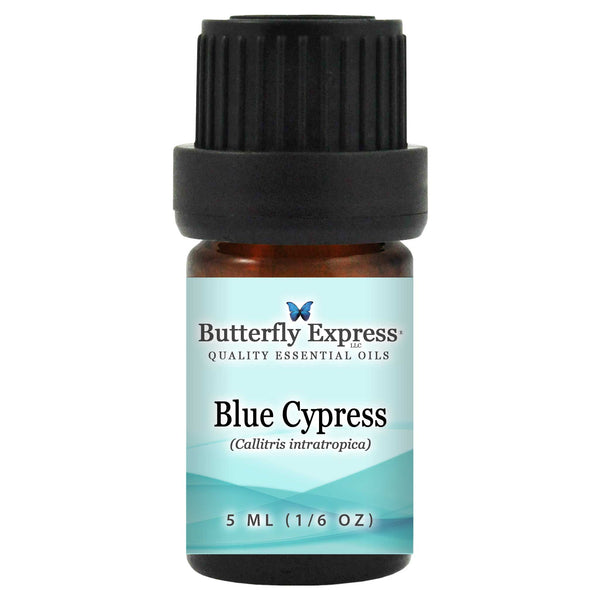 Blue Cypress Essential Oil Wholesale  <h6>Callitris intratropica</h6>