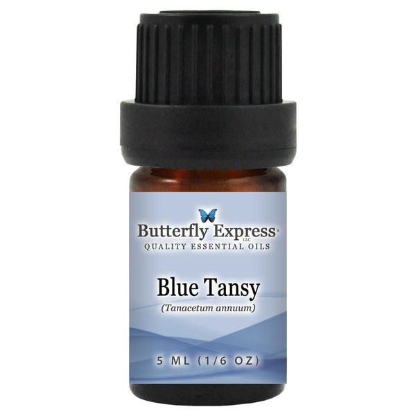Blue Tansy Essential Oil  <h6>Tanacetum annuum</h6>