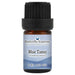 Blue Tansy Essential Oil  <h6>Tanacetum annuum</h6>