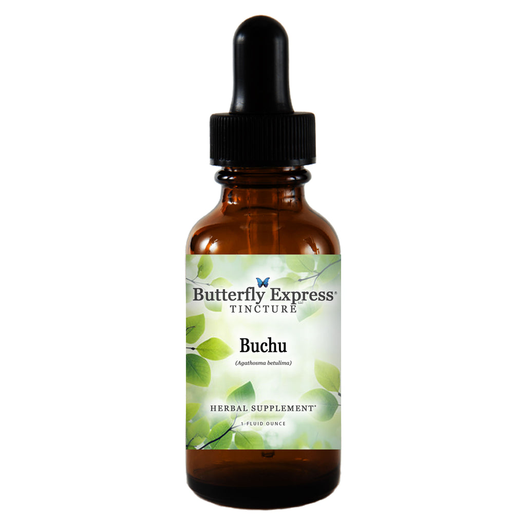 Buchu Tincture  <h6>Agathosma betulima</h6>