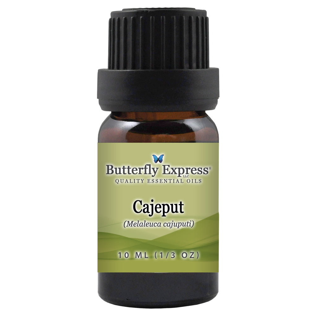 Cajeput Essential Oil  <h6>Melaleuca cajuputi</h6>