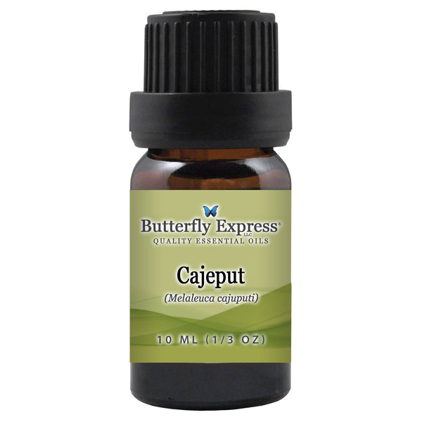 Cajeput Essential Oil Wholesale  <h6>Melaleuca cajuputi</h6>