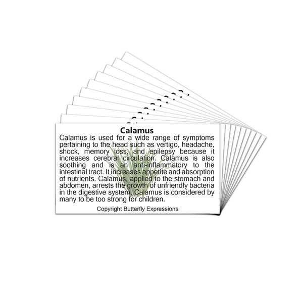 Calamus Essential Oil Product Cards Wholesale