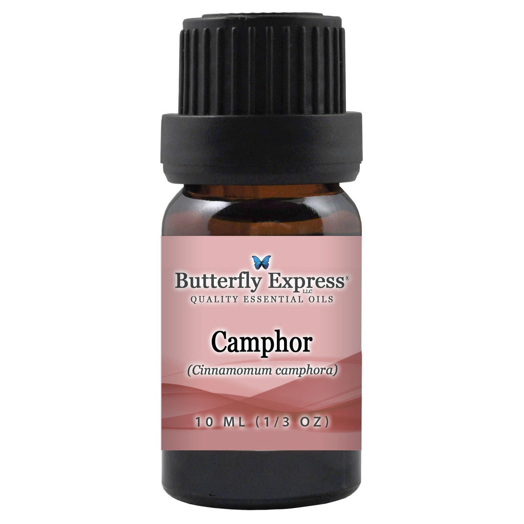 Camphor Essential Oil  <h6>Cinnamonum camphorum</h6>