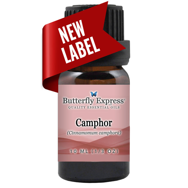 Camphor Essential Oil  <h6>Cinnamonum camphorum</h6>