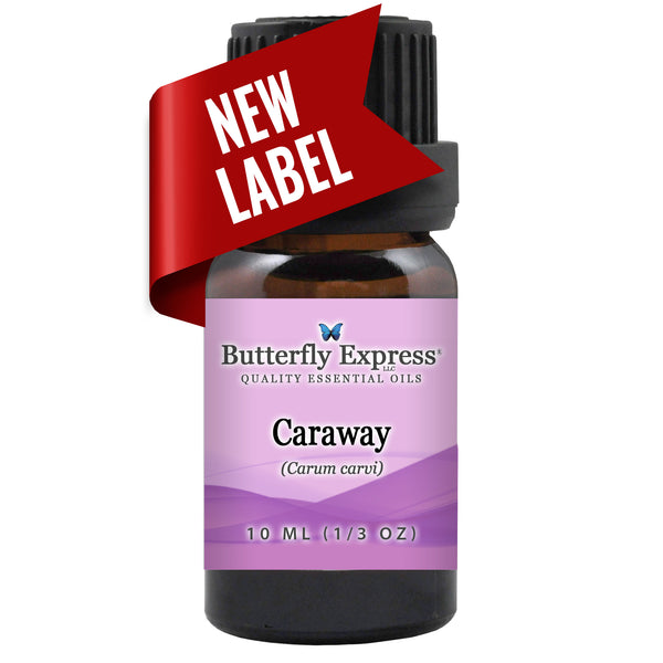 Caraway Essential Oil  <h6>Carum carvi</h6>