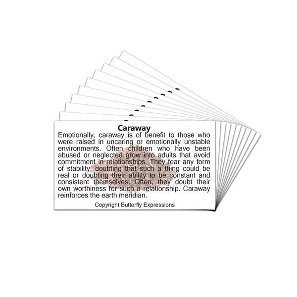 Caraway Essential Oil Product Cards Wholesale
