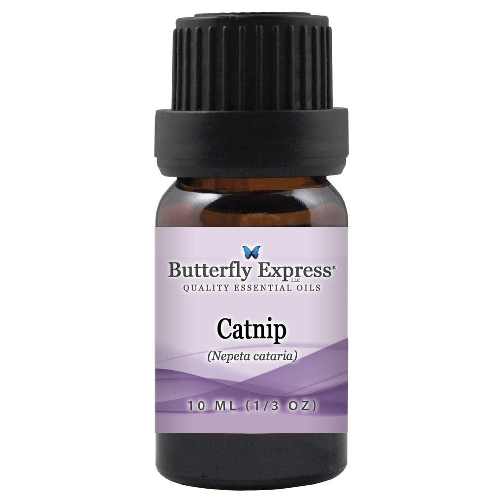 Catnip Essential Oil  <h6>Nepeta cataria</h6>