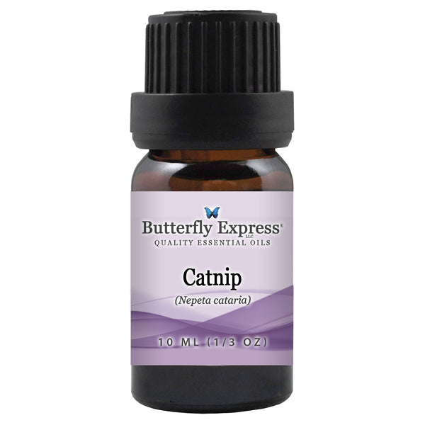 Catnip Essential Oil Wholesale  <h6>Nepeta cataria</h6>