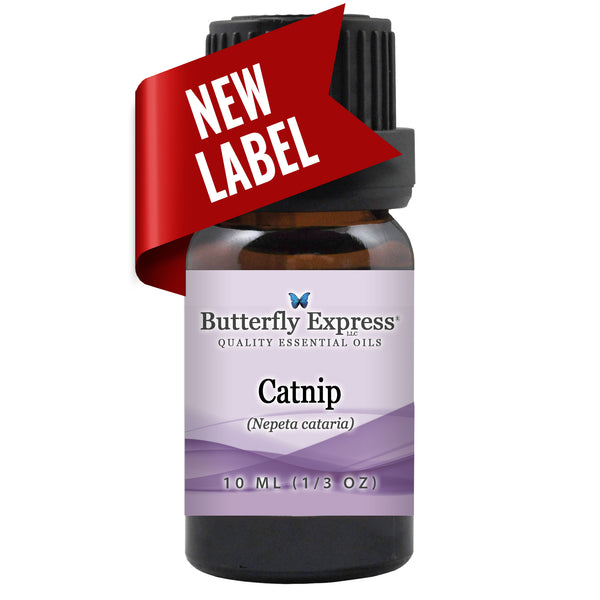 Catnip Essential Oil Wholesale  <h6>Nepeta cataria</h6>