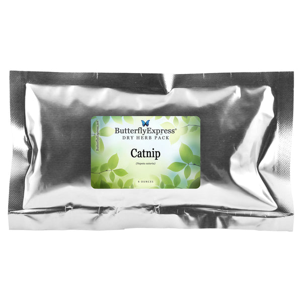 Catnip Dry Herb Pack Wholesale  <h6>Nepeta cataria<h6>