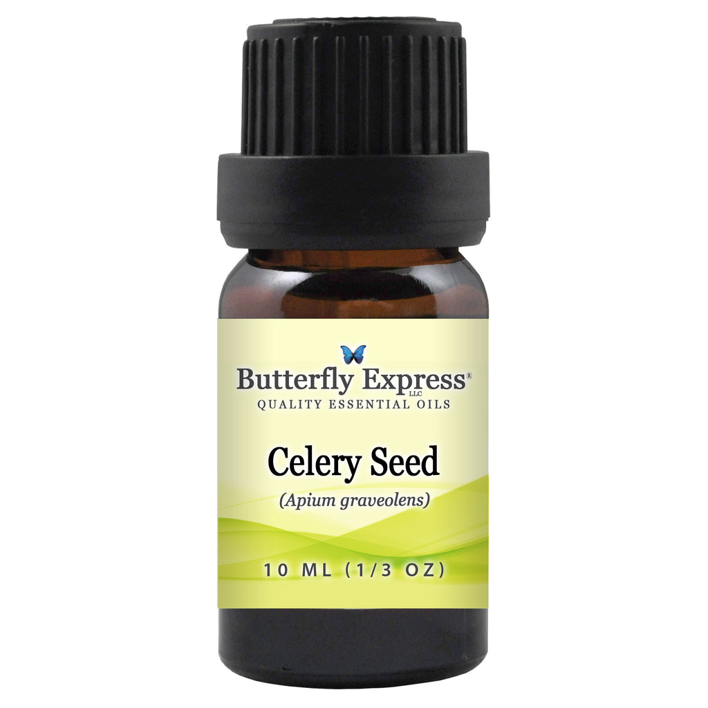 Celery Seed Essential Oil  <h6>Apium graveolens</h6>