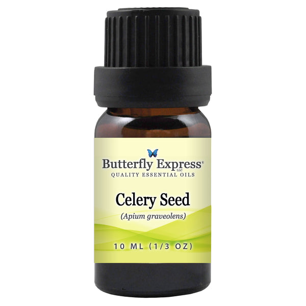 Celery Seed Essential Oil Wholesale  <h6>Apium graveolens</h6>