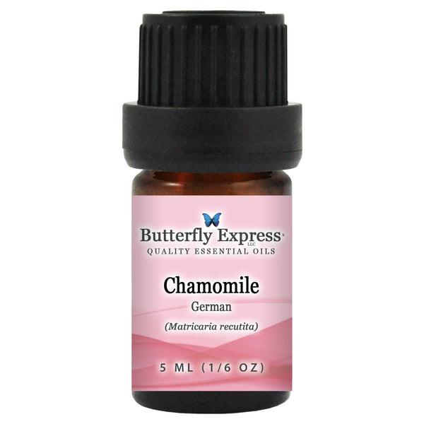 Chamomile German Essential Oil Wholesale  <h6>Matricaria recutita</h6>