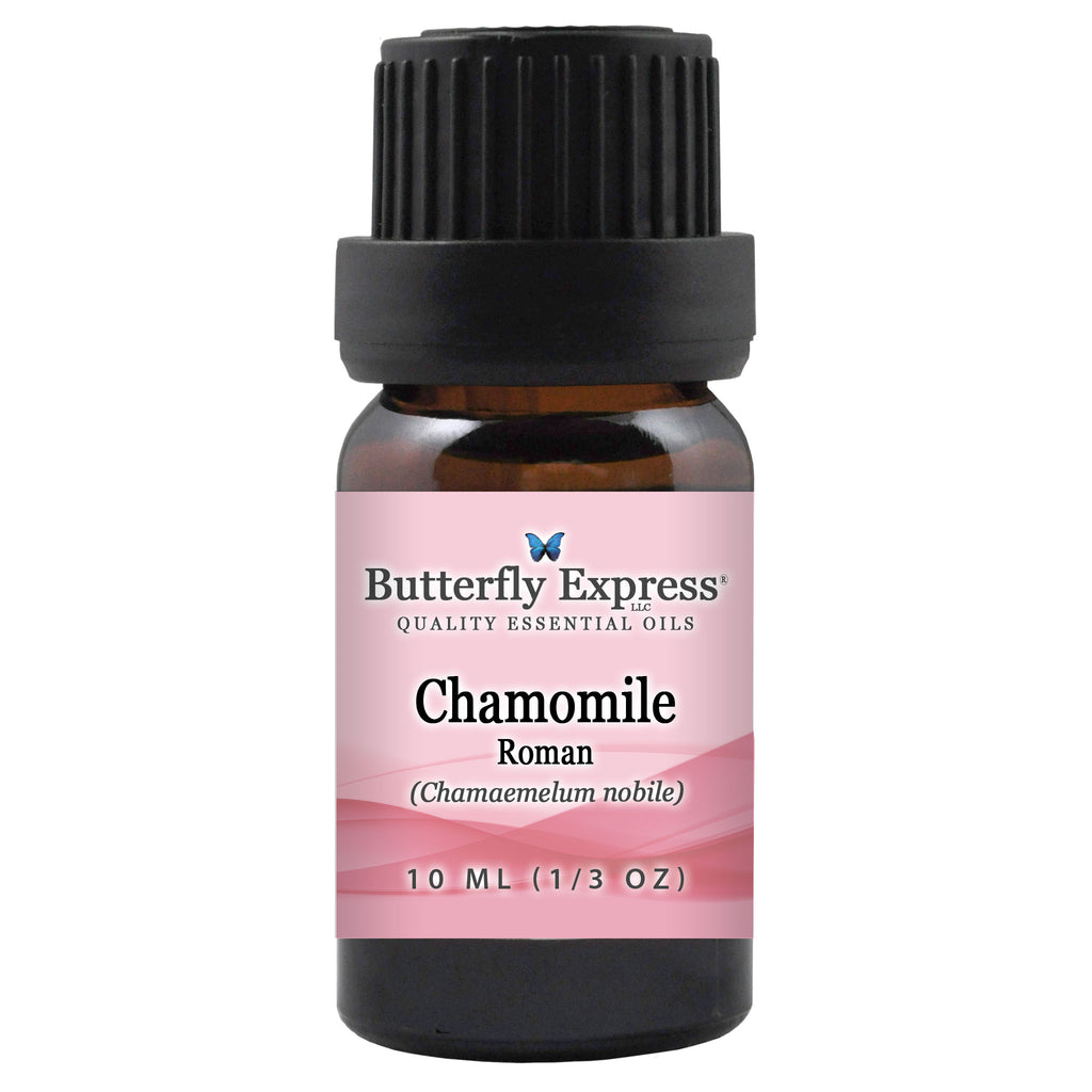 Chamomile Roman Essential Oil  <h6>Chamaemelum nobile</h6>