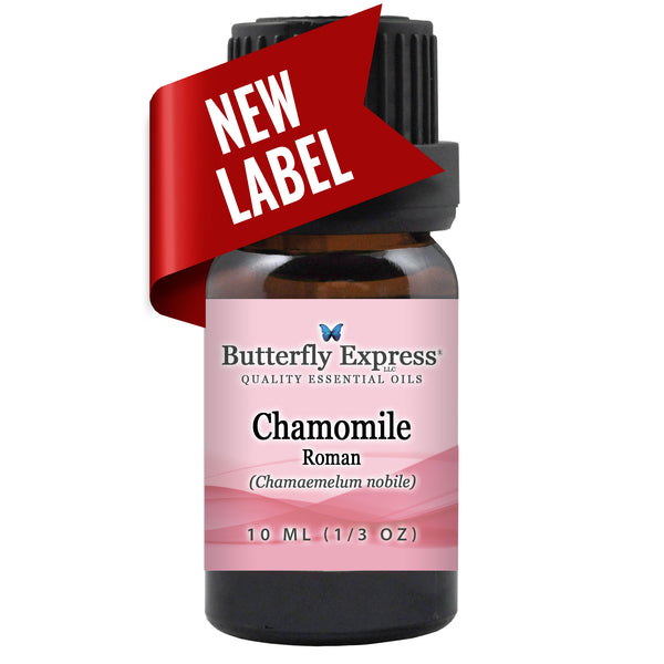 Chamomile Roman Essential Oil Wholesale  <h6>Chamaemelum nobile</h6>