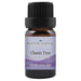 Chaste Tree Essential Oil  <h6>Vitex agnus castus</h6>