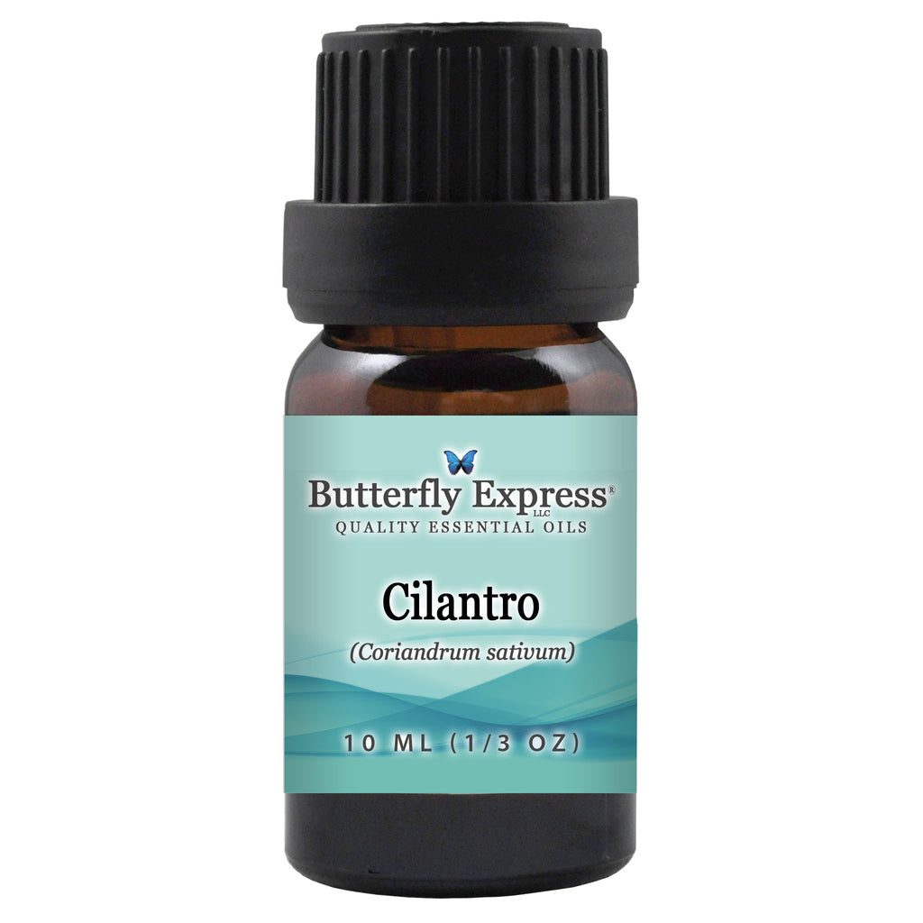 Cilantro Essential Oil  <h6>Coriandrum sativum</h6>