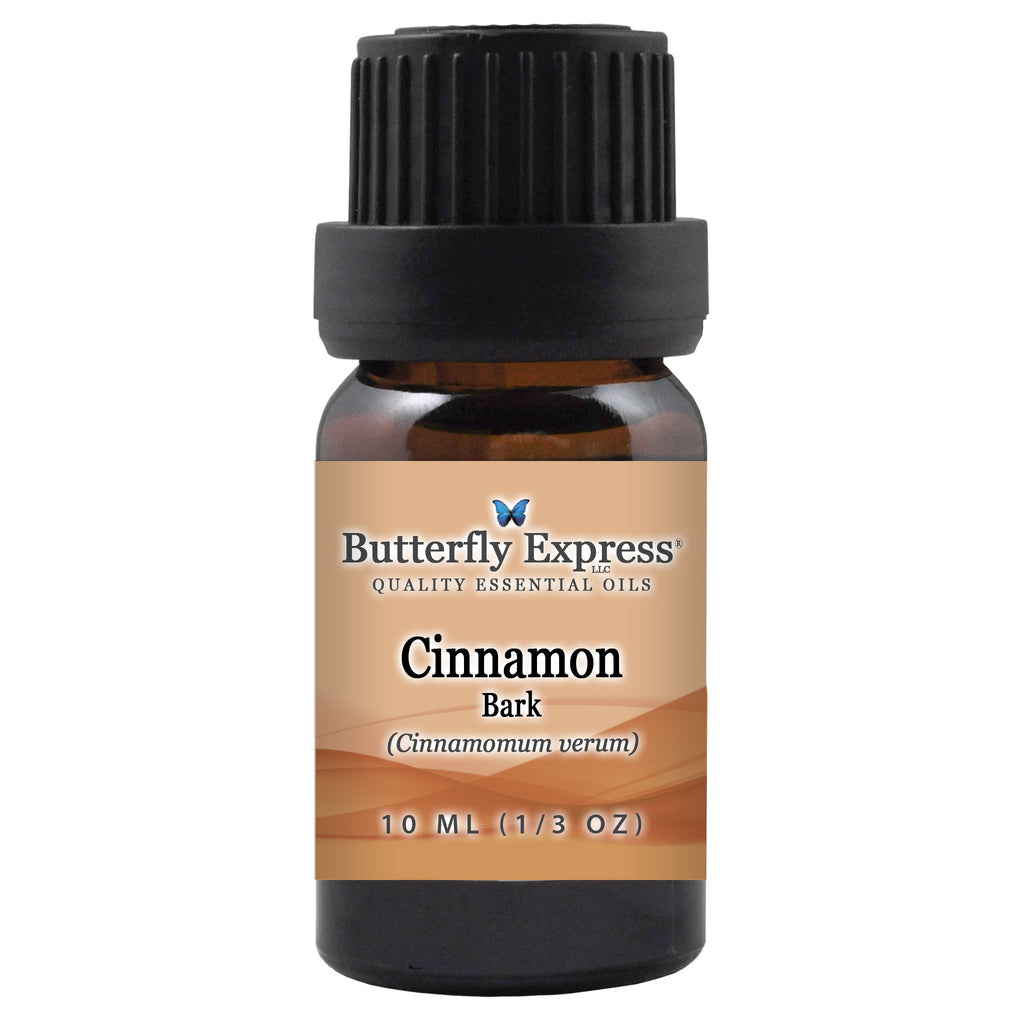 Cinnamon Bark Essential Oil  <h6>Cinnamomum verum var. zeylanicum</h6>