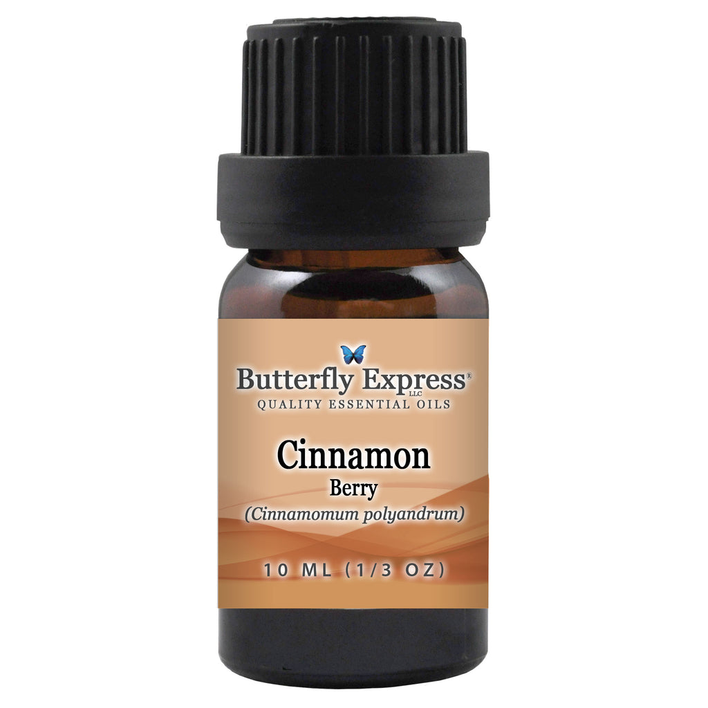 Cinnamon Berry Essential Oil  <h6>Cinnamomum polyandrum</h6>
