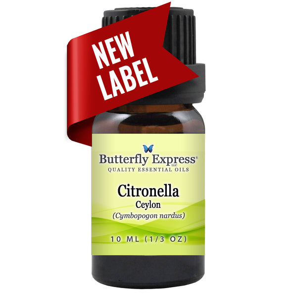 Citronella Ceylon Essential Oil  <h6>Cymbopogon nardus</h6>