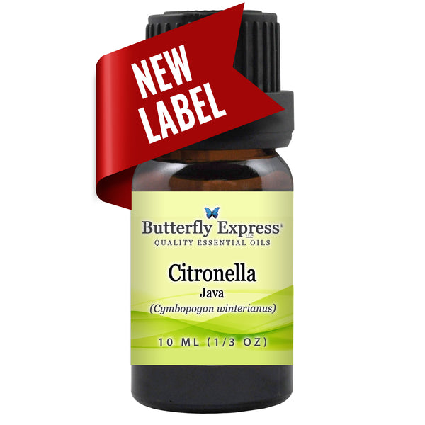 Citronella Java Essential Oil  <h6>Cymbopogon winterianus</h6>