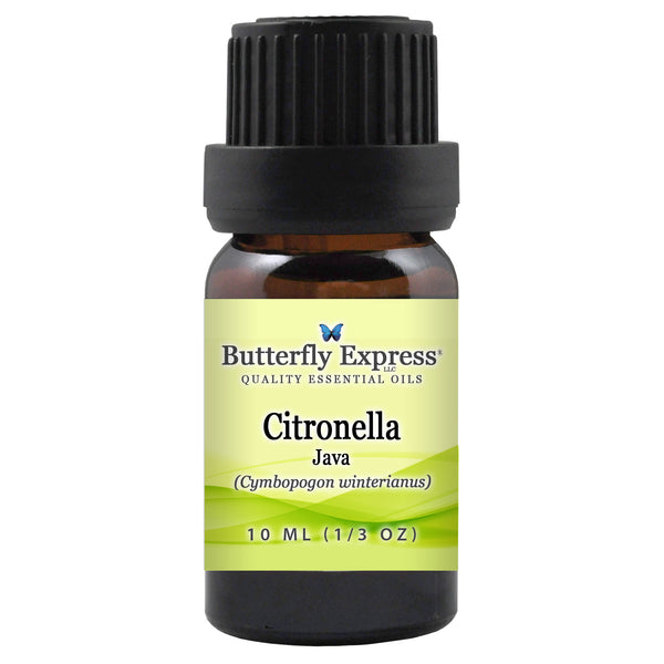 Citronella Java Essential Oil  <h6>Cymbopogon winterianus</h6>
