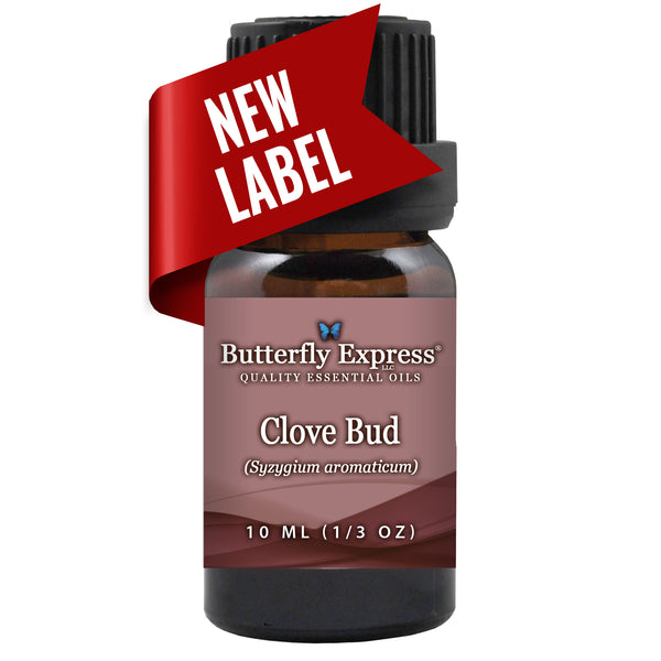 Clove Bud Essential Oil Wholesale  <h6>Syzygium aromaticum</h6>